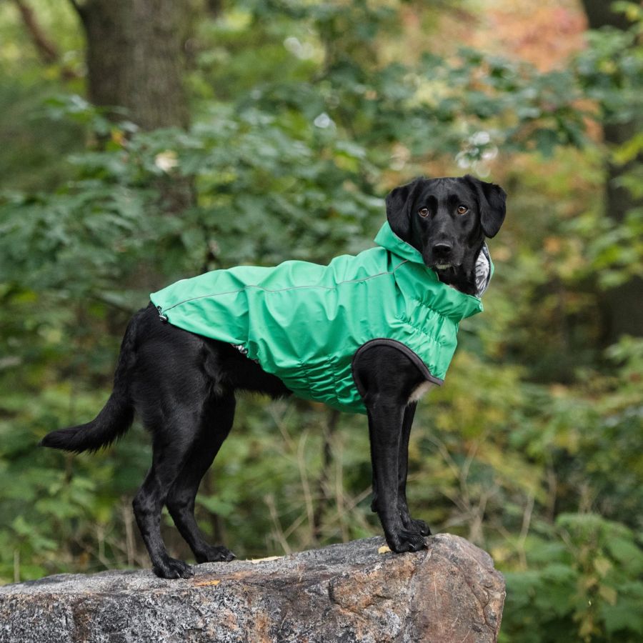 Impermeable reversible verde, , large image number null